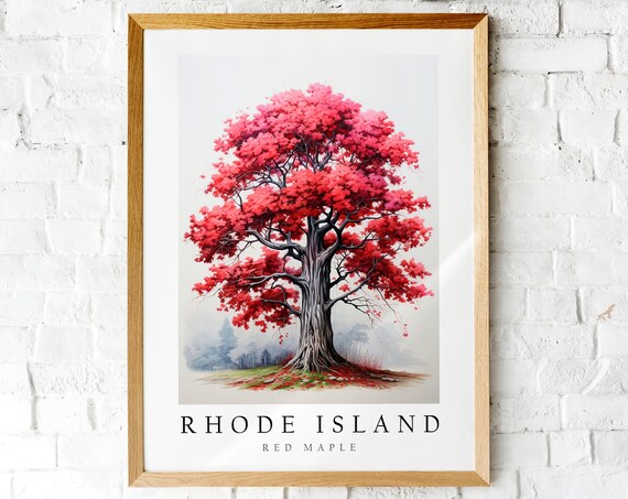 Rhode Island State Tree Red Maple Autumn Botanical Art Poster