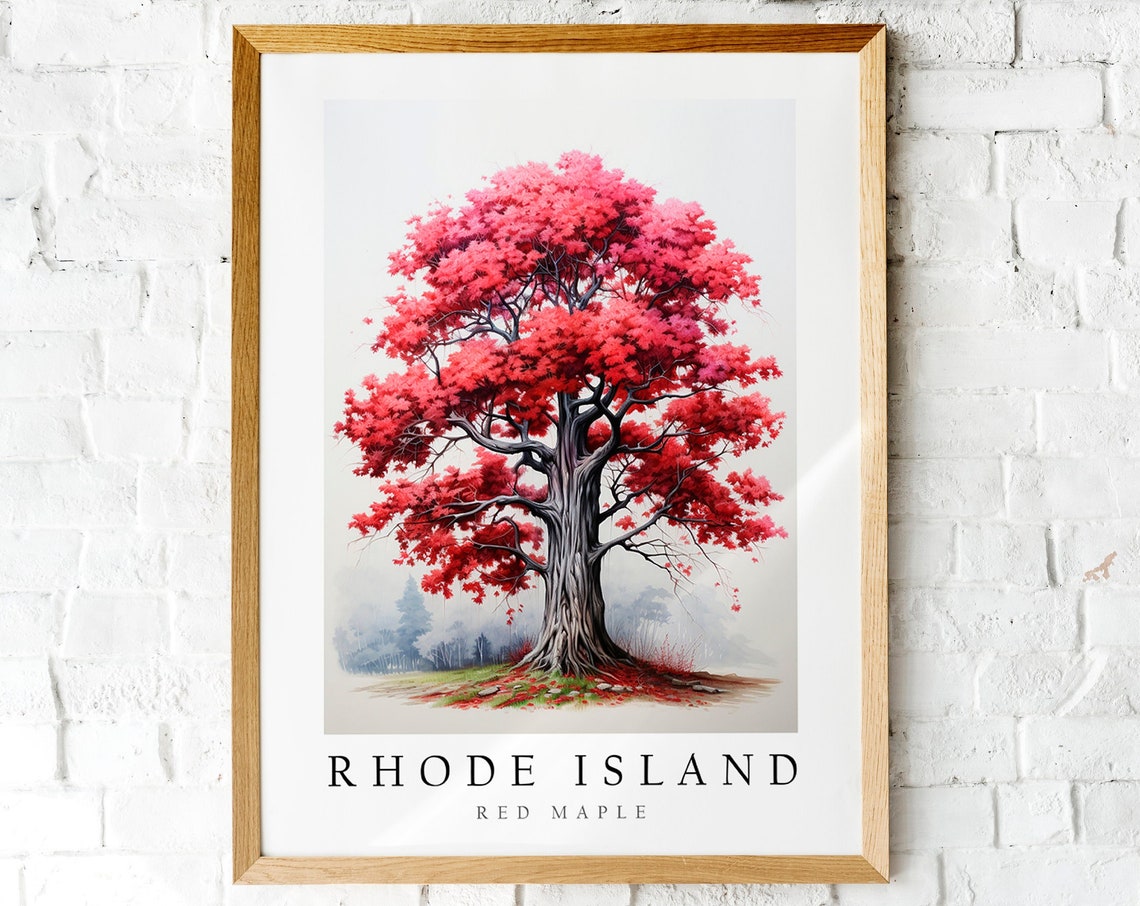 Rhode Island State Tree Red Maple Autumn Botanical Art Poster