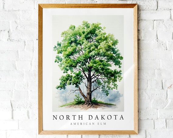 American Elm Tree North Dakota State Tree Watercolor Art Poster