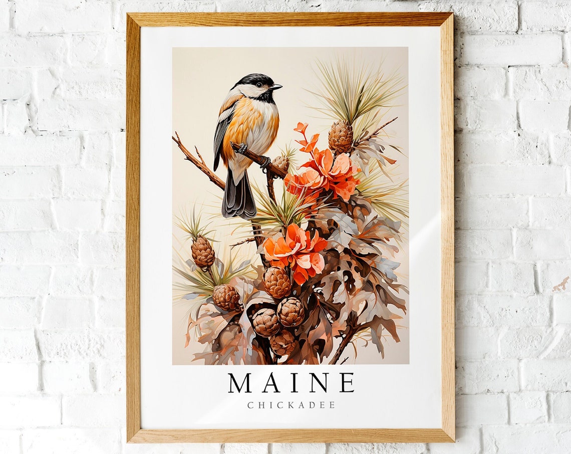 Maine Black Capped Chickadee Bird Pine Cone Botanical Art Poster