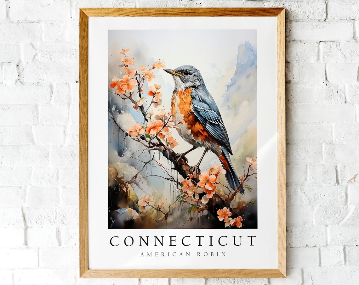 American Robin Connecticut State Bird Watercolor Floral Poster
