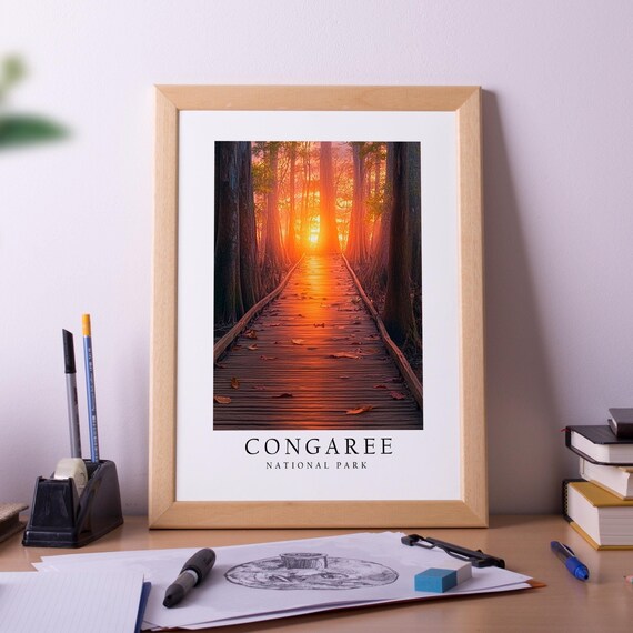 Congaree National Park Boardwalk Sunset Cypress Forest Photo Poster