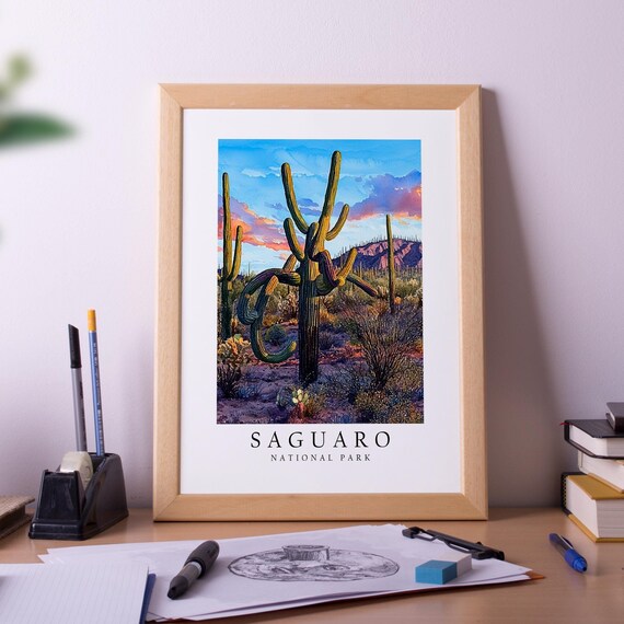 Saguaro National Park Cactus Watercolor Sunset Travel Poster