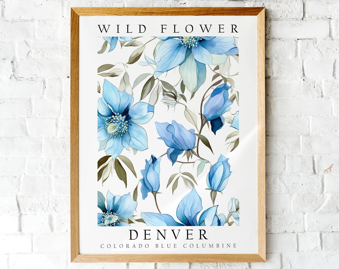 Denver Colorado Blue Columbine Wild Flower Botanical Illustration Poster