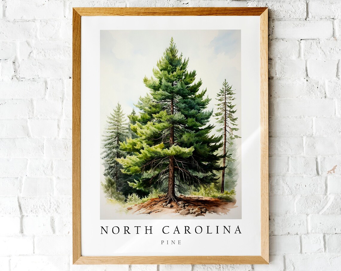 Pine, The State Tree Of North Carolina Art Print