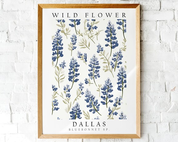 Dallas Texas Bluebonnet Wild Flower State Botanical Art Poster