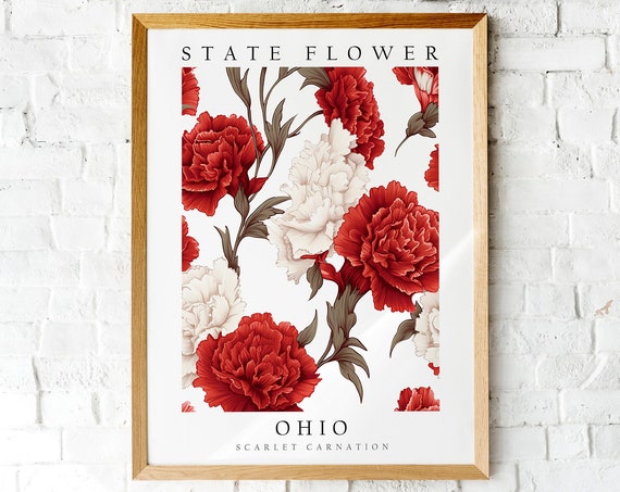 Scarlet Carnation Ohio State Flower Art Print