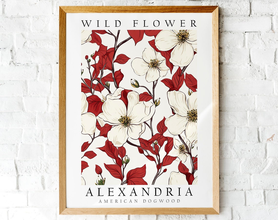 Alexandria American Dogwood White Bloom Wild Flower Art Poster