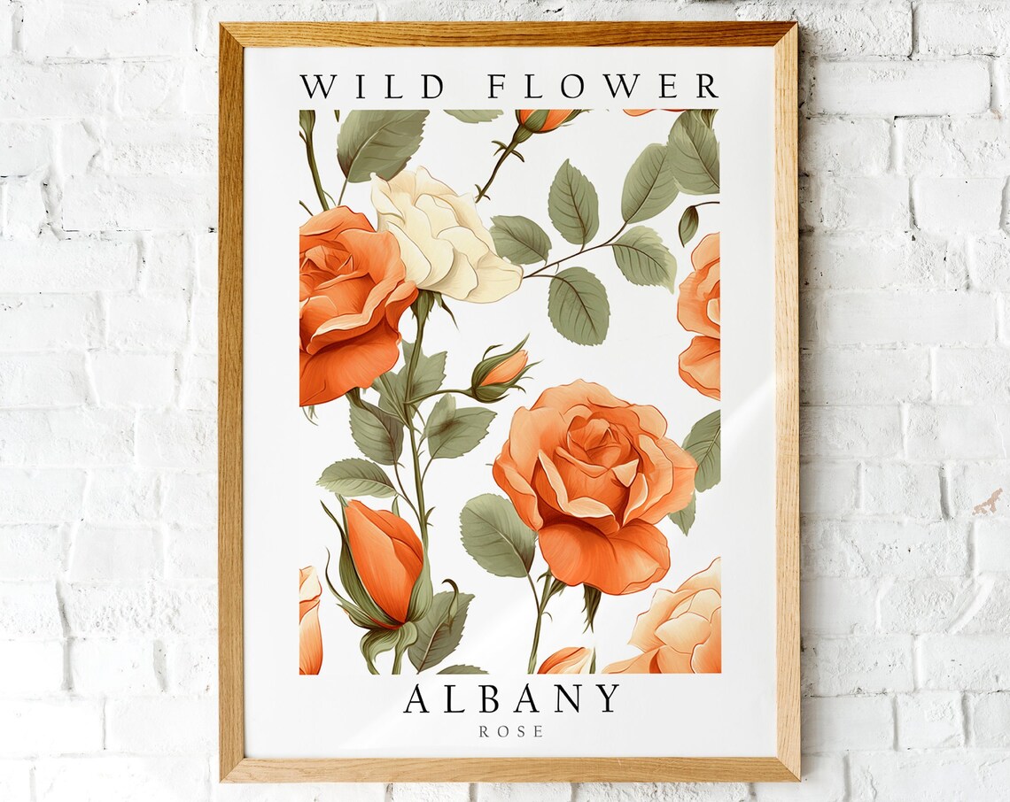 Albany Rose Wild Flower Botanical Vintage Style Floral Poster