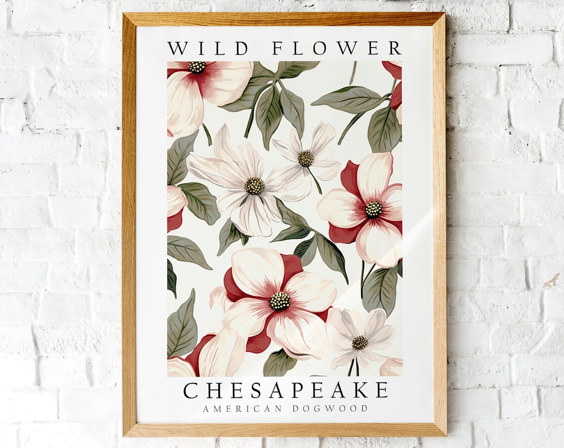 Chesapeake American Dogwood Wild Flower Botanical Art Poster