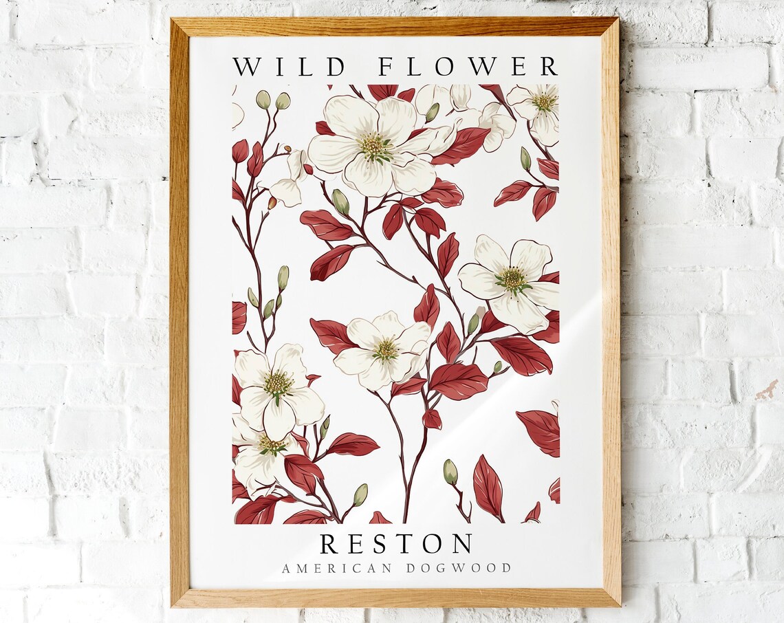 Reston American Dogwood White Blossom Wild Flower Botanical Art Poster