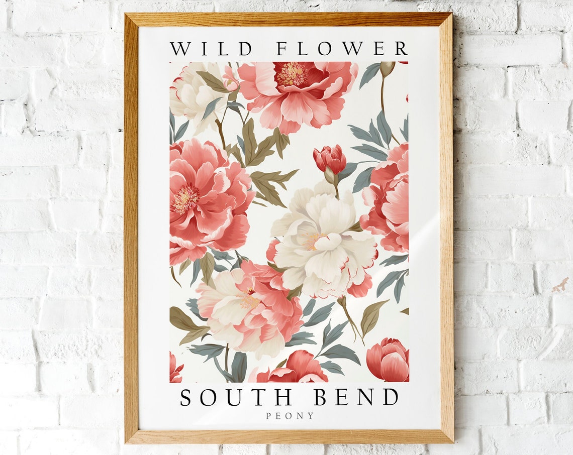 South Bend Peony Blush Bloom Wild Flower Botanical Art Poster