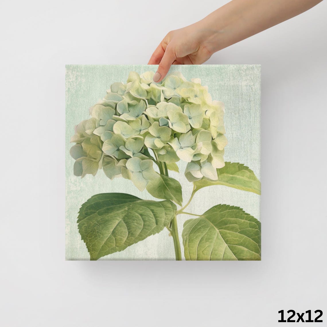 White Green Hydrangea Bloom Vintage Botanical Style Art Poster - Image 2