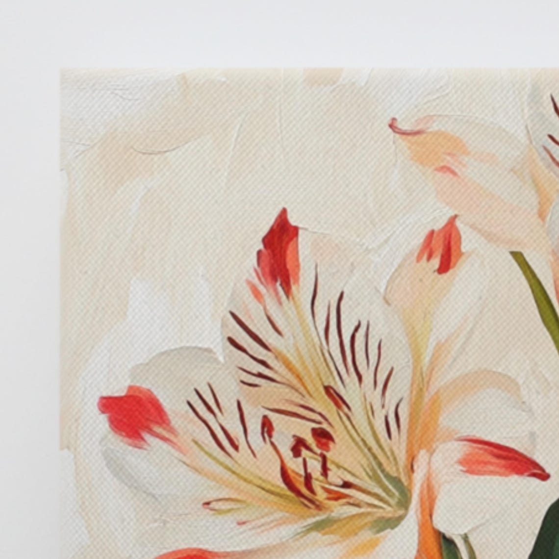White Red Alstroemeria Striped Blooms Botanical Floral Art Poster - Image 3