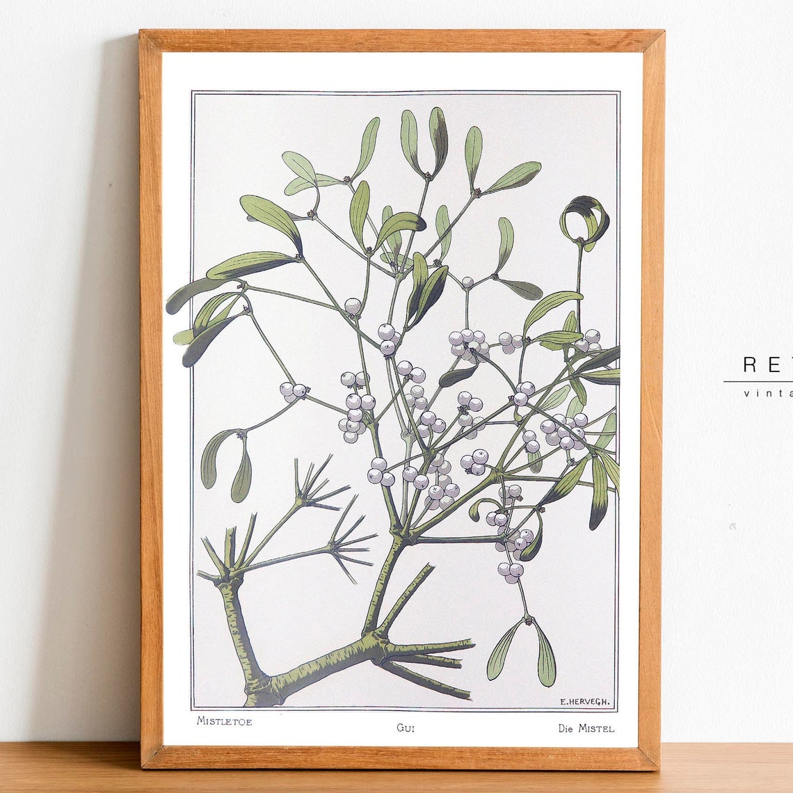 Vintage Mistletoe Botanical Illustration Christmas Greenery Art Poster - Image 2