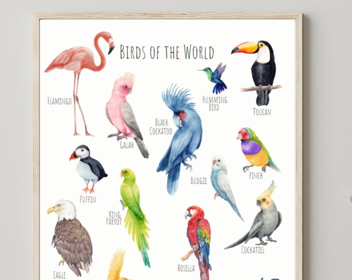 Birds Of The World Poster, Animal Wildlife Art Print