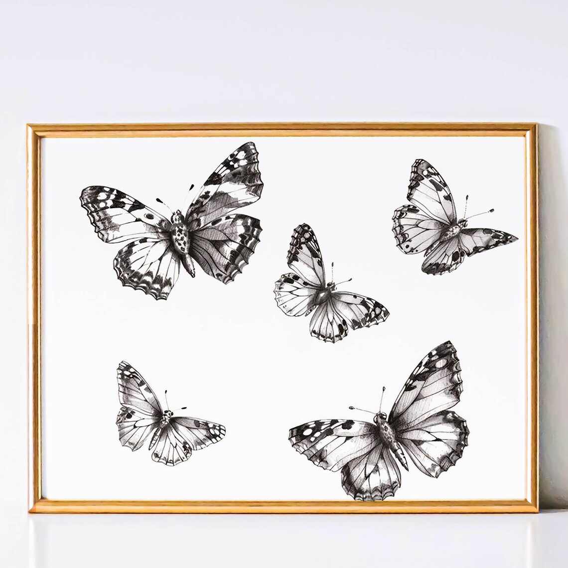Five Monochrome Butterflies in a Vintage Natural History Sketch Poster
