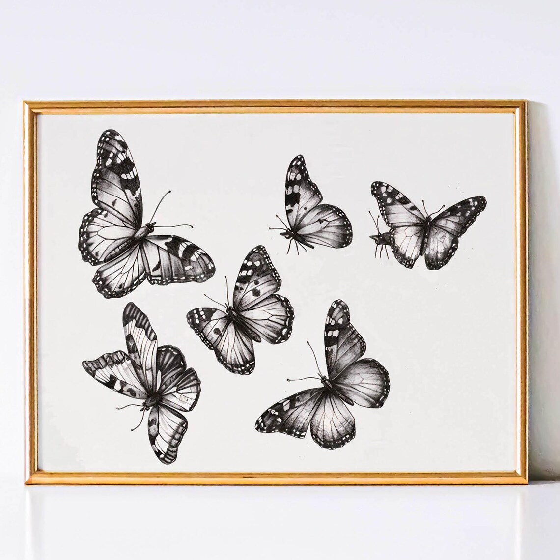 Monochrome Butterfly Specimen Sketches in Landscape Format Poster