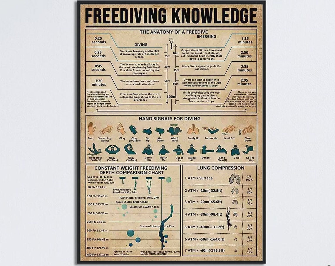 Freediving Knowledge Infographic Dive Anatomy Chart Guide Poster
