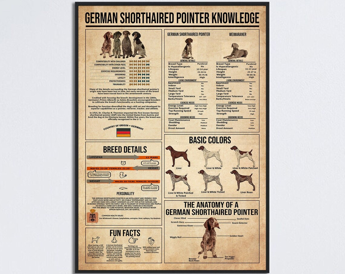 German Shorthaired Pointer Vintage Dog Art Print