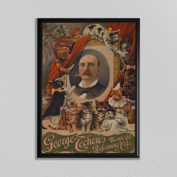 Cat Acrobat Cirque Vintage Circus Poster Art Print