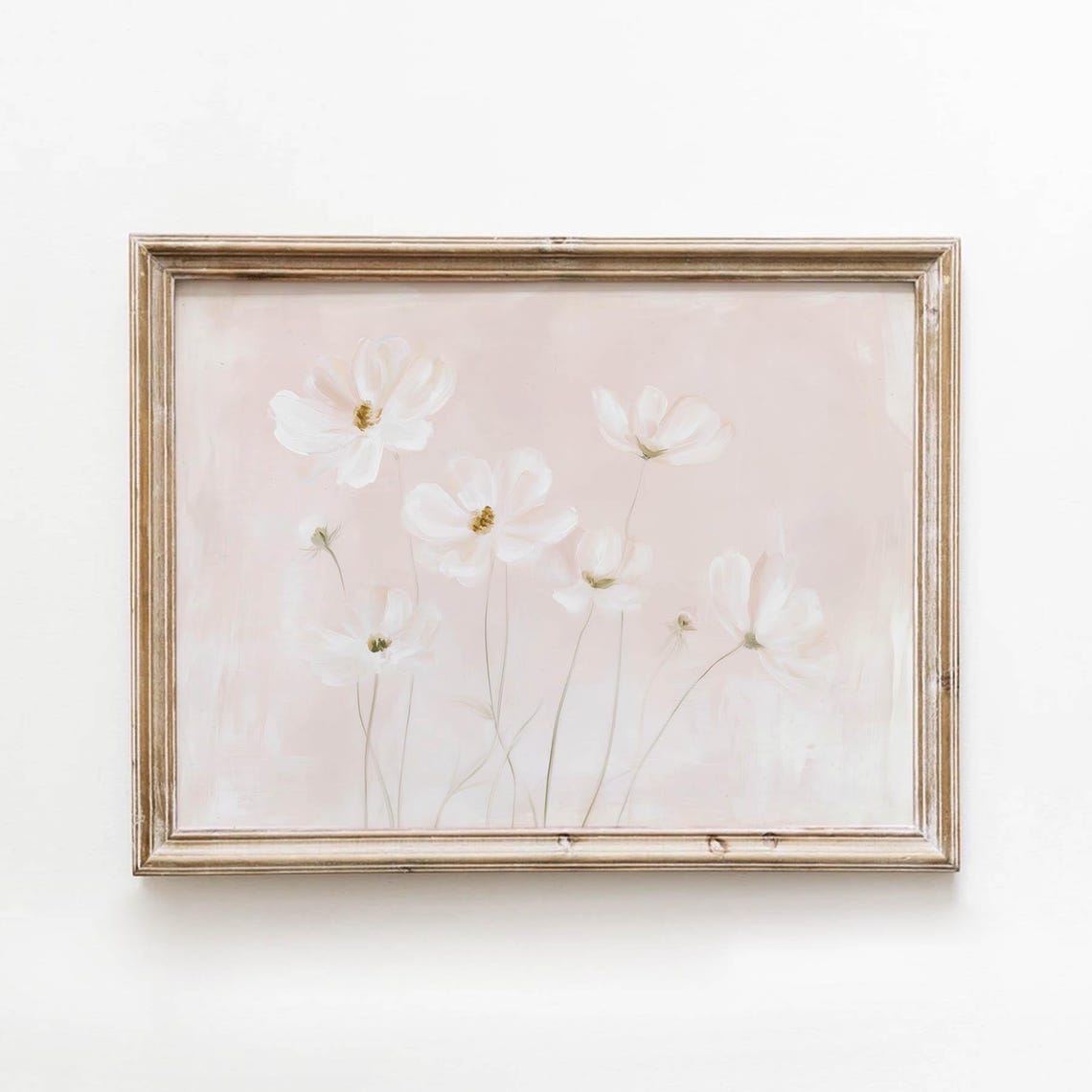 White Cosmos Flowers On Soft Blush Pink Botanical Art Poster