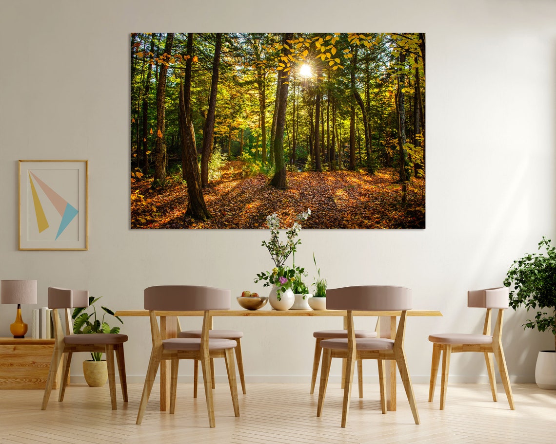 Sunlit Autumn Forest with Golden Leaves Carpet Woodland View Poster