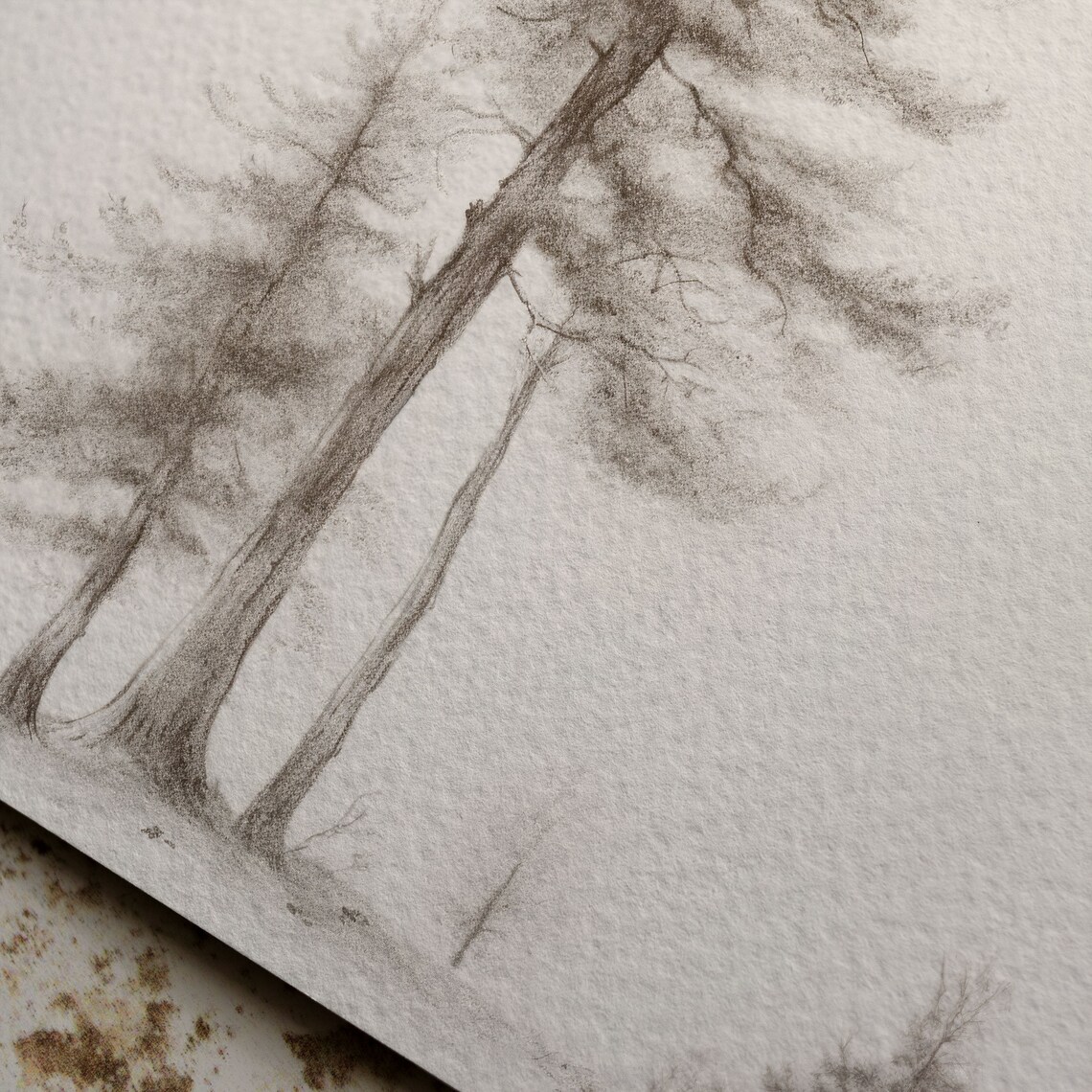 Modern Pine Tree Sketch Art Print, Farmhouse Style - Image 6