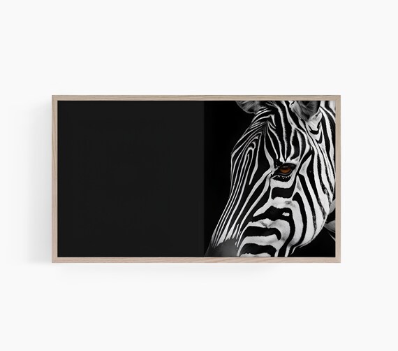 Zebra Close Up Dramatic Striped Face Black Background Animal Poster