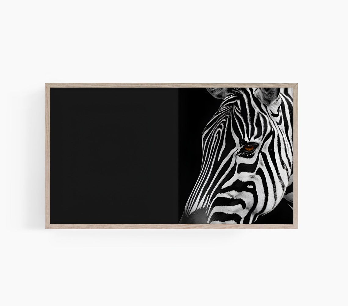 Zebra Close Up Dramatic Striped Face Black Background Animal Poster