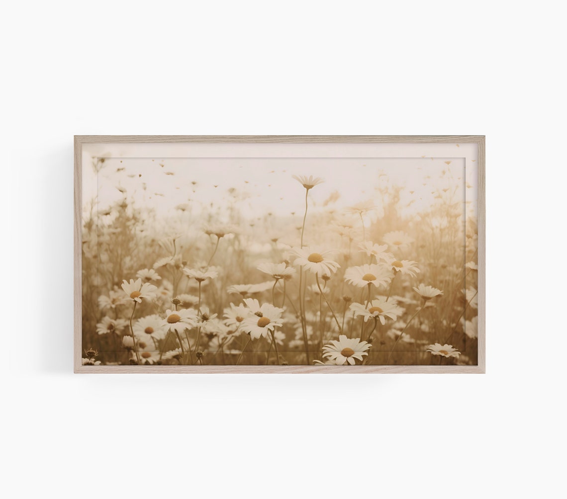 Warm Golden Daisy Meadow Sunlit Wildflower Field Floral Poster