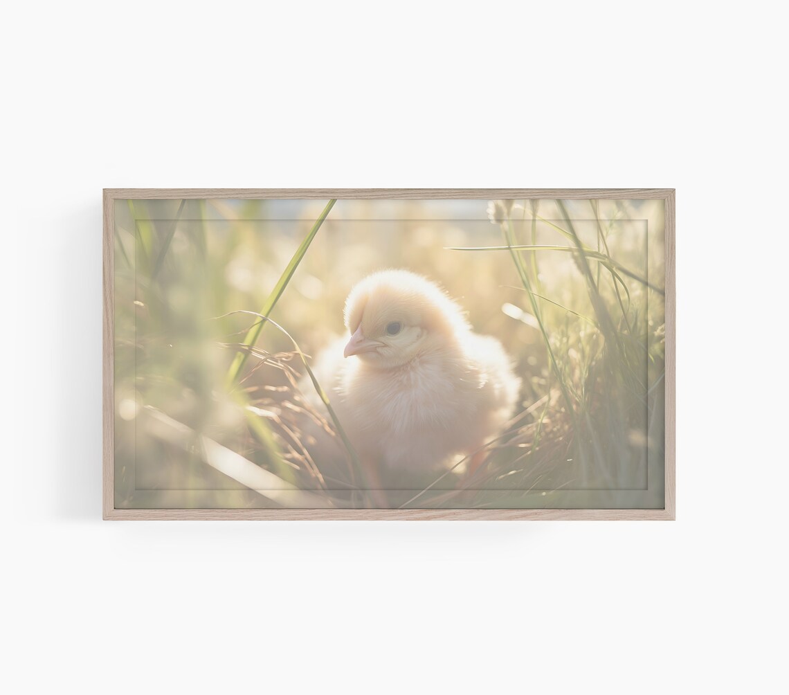 Easter Baby Chick Art Print, Spring Decor