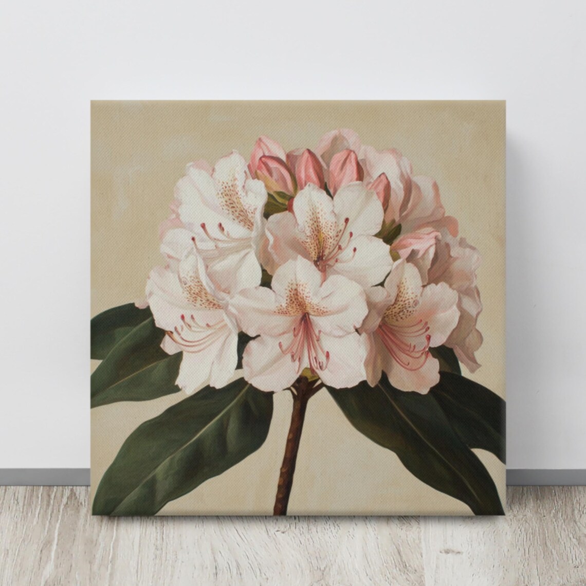 White Pink Rhododendron Truss Vintage Botanical Art Wall Poster