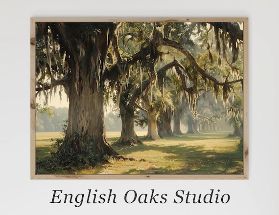Southern Live Oaks With Spanish Moss On A Sunlit Path Vintage Poster