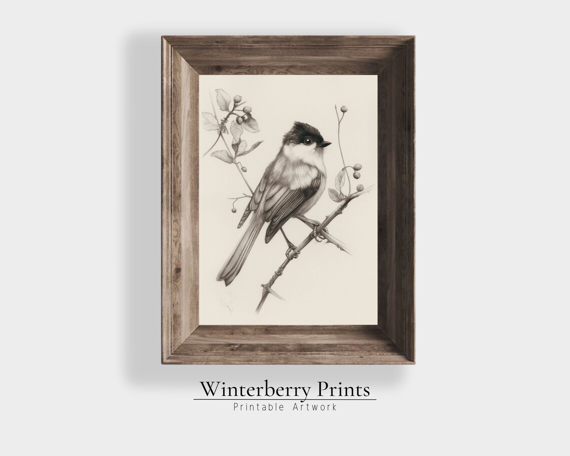 Antique Chickadee Songbird Pencil Sketch Berry Branch Farmhouse Print