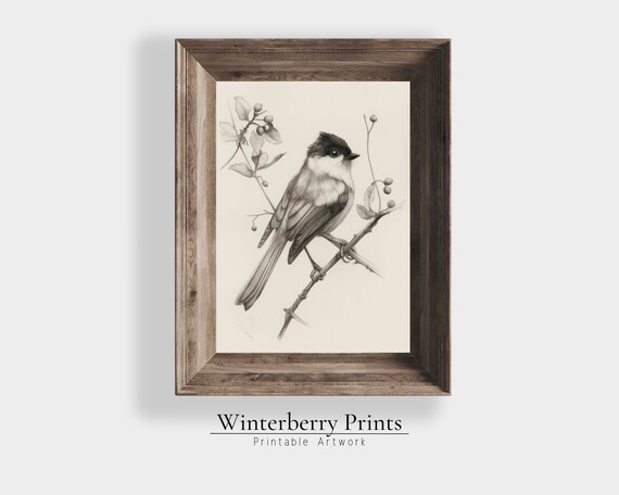Antique Chickadee Songbird Pencil Sketch Berry Branch Farmhouse Print