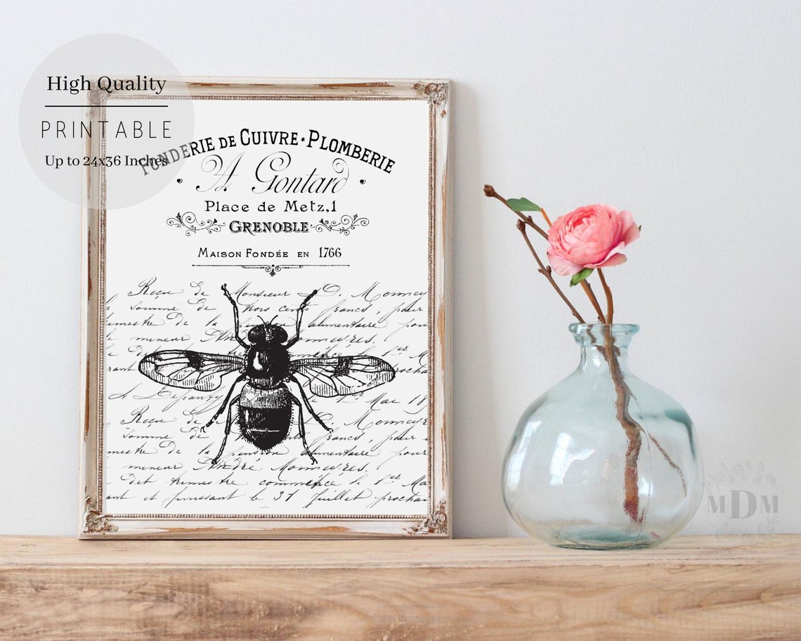 Black Bee French Script Typography Vintage Grenoble Black White Poster - Image 5