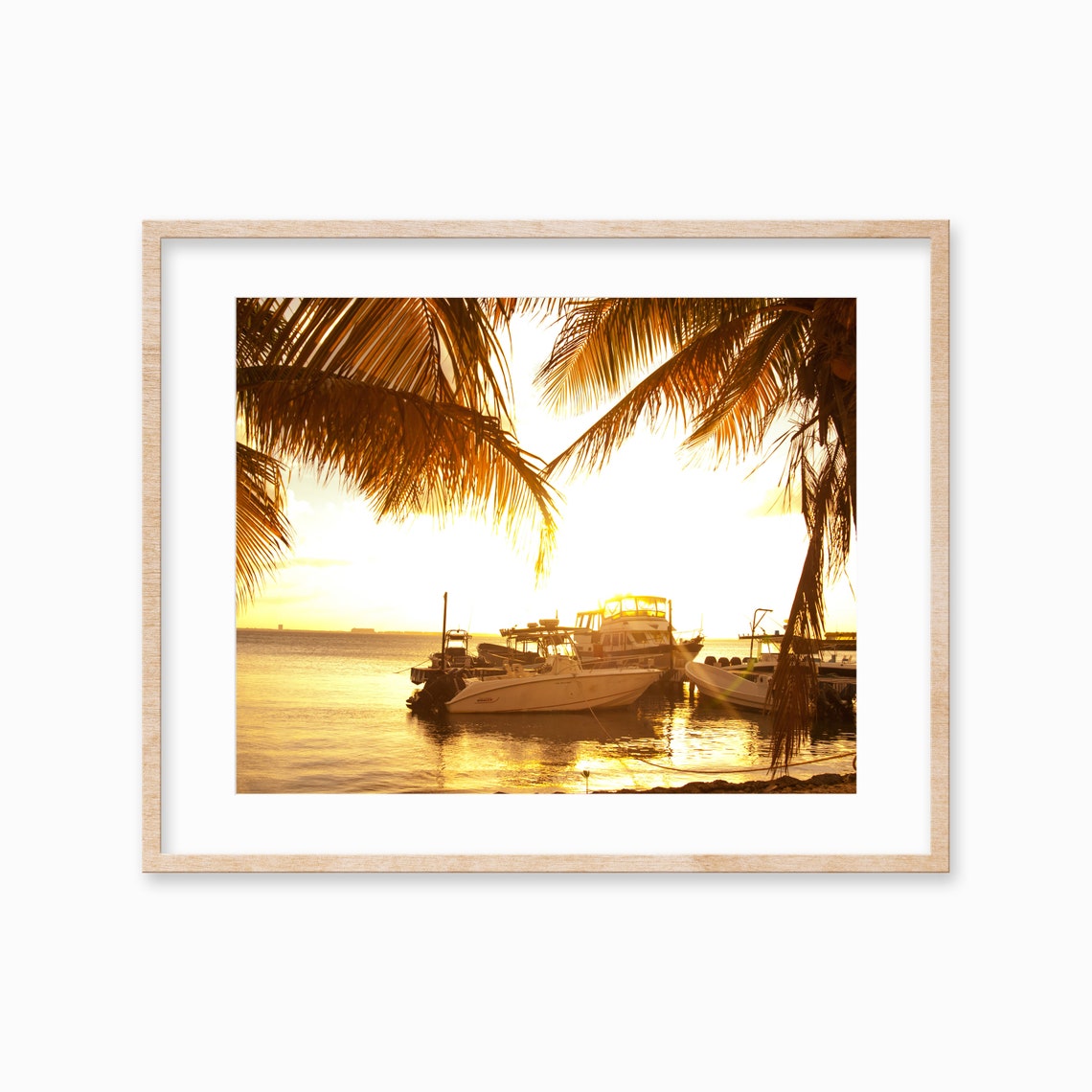 Sunset Marina Boats Golden Water Palm Fronds Tropical Photo Poster