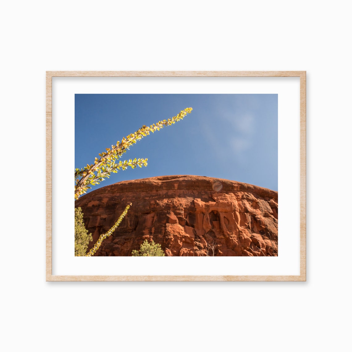 Red Rock Desert Dome with Ocotillo Branch in the Foreground Poster