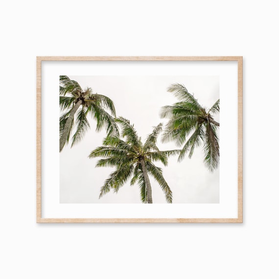 Three Palm Trees Print Palm Tree Tropical Wall Art Decor Botanical Poster Green White Palm Leaves Artwork