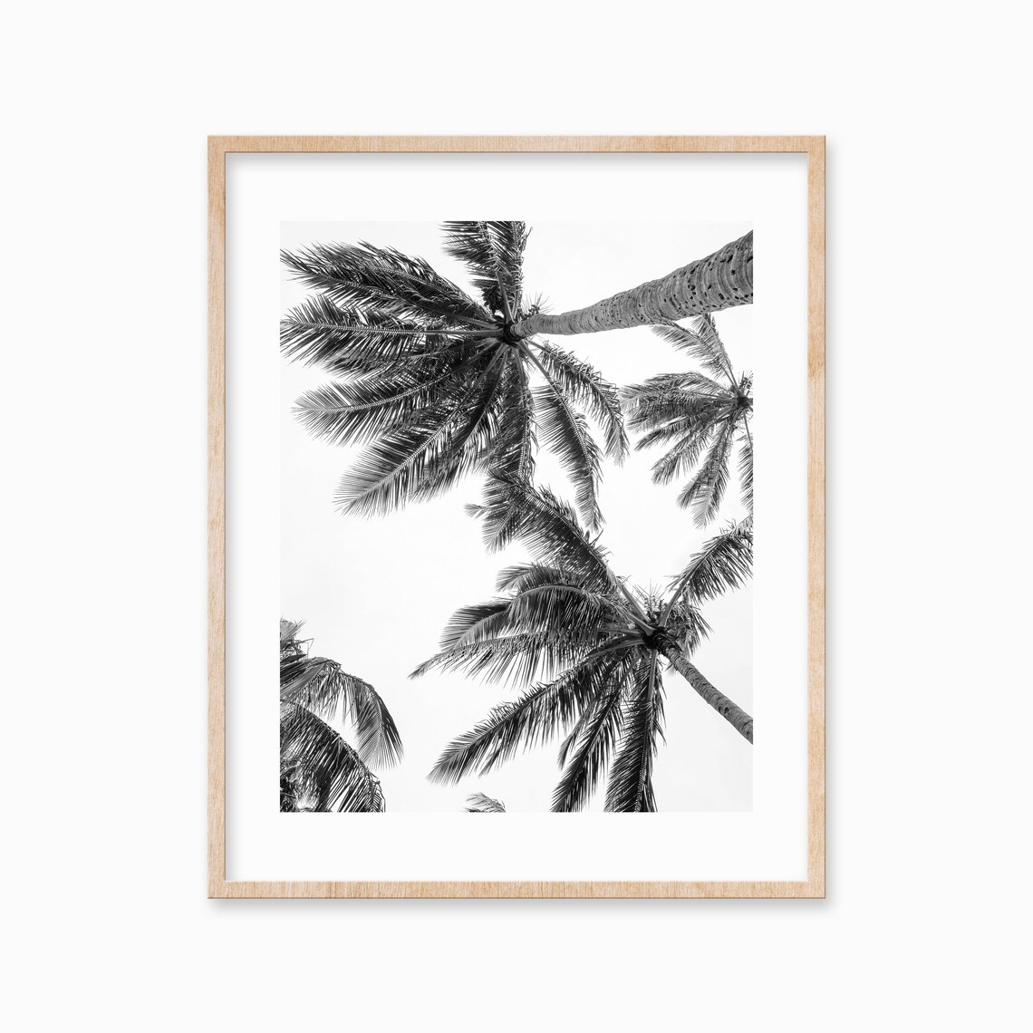 Vertical Black White Palm Tree Tropical Wall Art Large Palm Tree Poster Botanical Photography Black And White