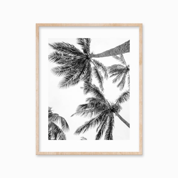 Vertical Black White Palm Tree Tropical Wall Art Large Palm Tree Poster Botanical Photography Black And White