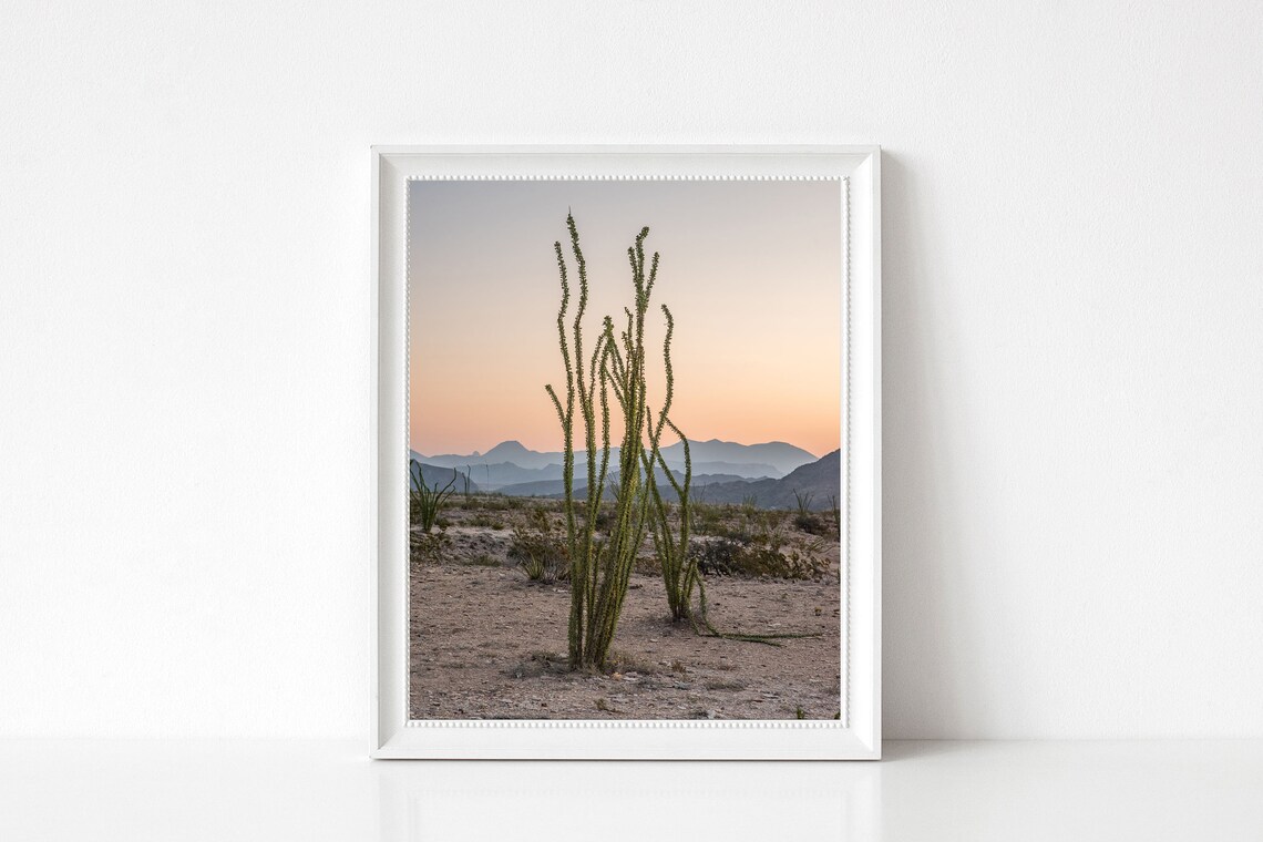 Desert Travel Poster, Texas Boho Cactus Art - Image 3