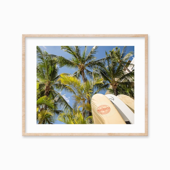 Lifeguard Surfboards Under Palm Trees Hawaii Beach Photography Poster