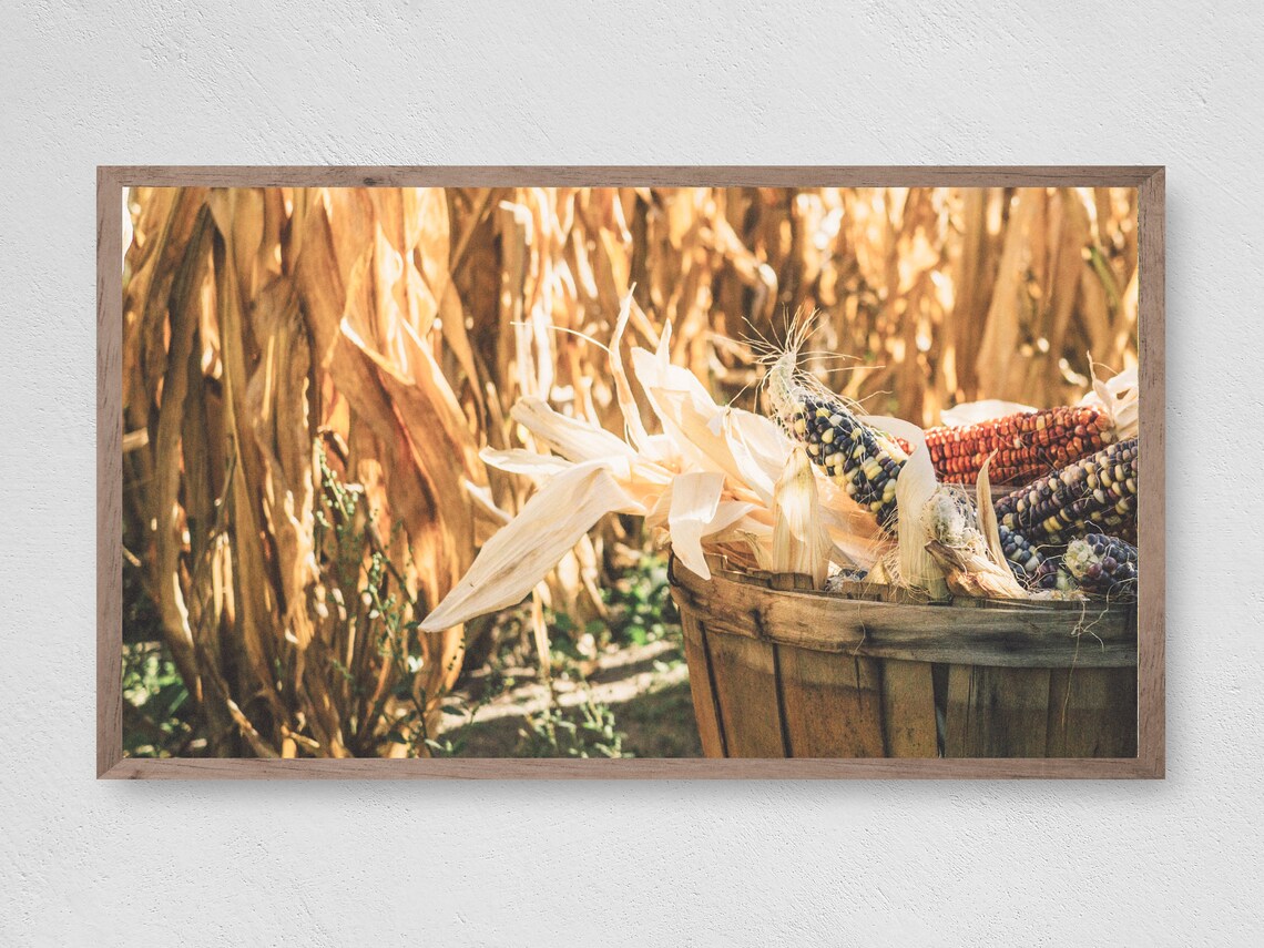 Fall Harvest Frame TV Art, Autumn Leaves