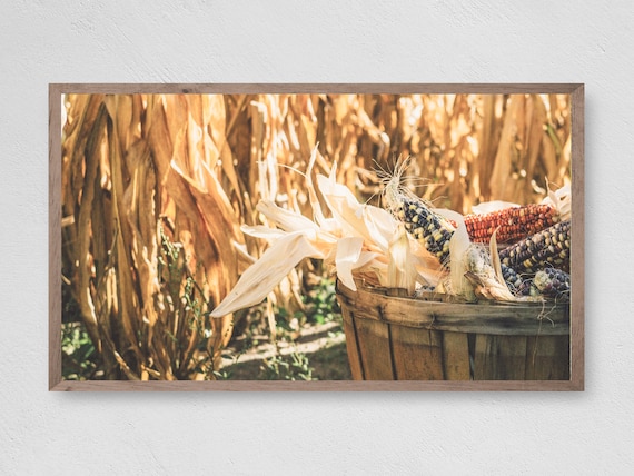 Fall Harvest Frame TV Art, Autumn Leaves