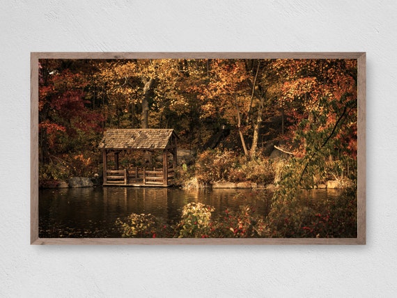 Fall Stream Poster Print, Autumn Leaves