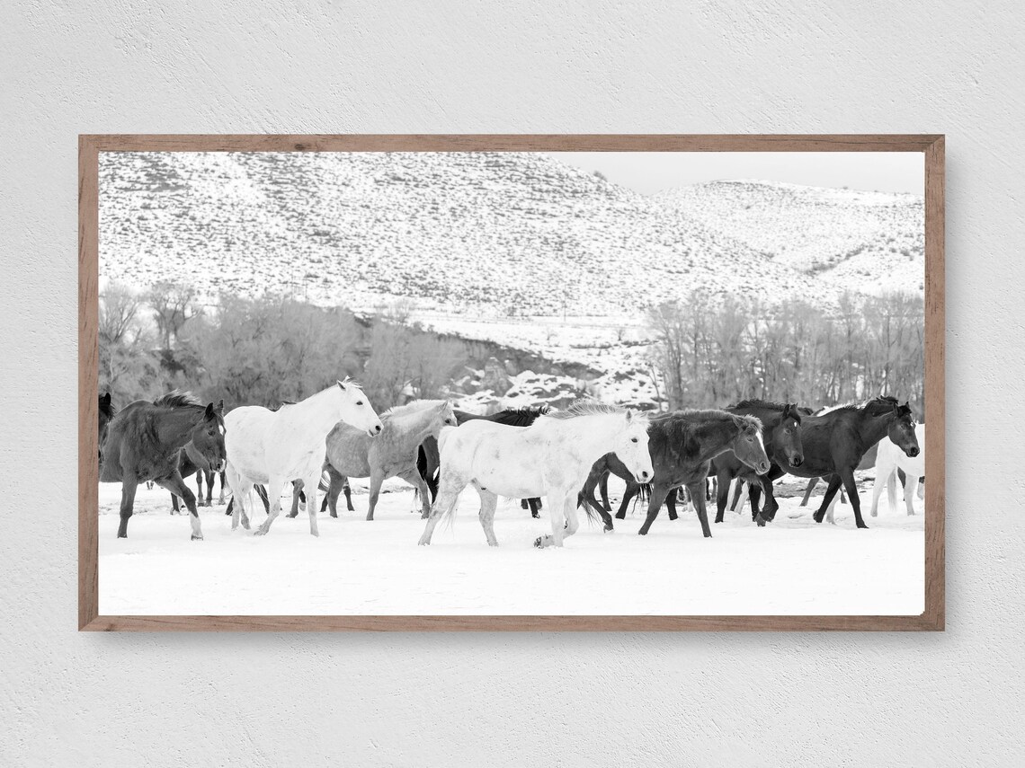 Instant Snow Horses Art Print, Winter Animal Decor