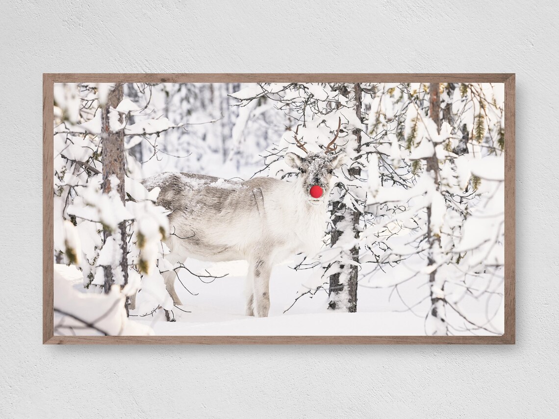 Rudolf In The Snow, Winter Christmas Art Print