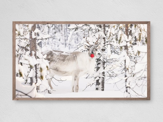 Rudolf In The Snow, Winter Christmas Art Print